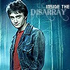 Inside the Disarray