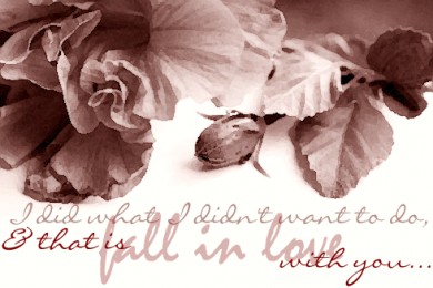Click to view original image