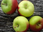 Lady Apples