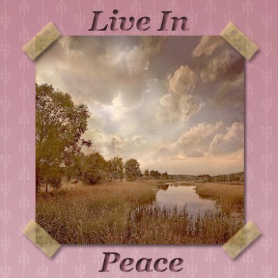 Click to view original image