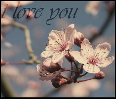 Click to view original image