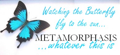 Click to view original image