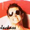 Jackass Knoxville