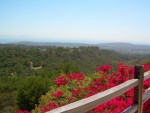 Santa Barbara