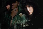 Wang Lee Hom