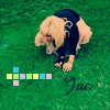 Jac Grass