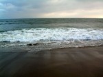 Nice & Cool Santa Monica Ocean