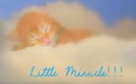 Little Miracle!!!