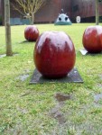 Apples, Anyone?