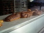 Crocodile Bread