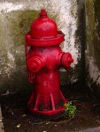 Dirty Fire Hydrant