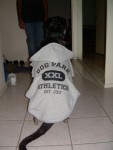 Dog Park Athletics