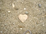 Heart Leaf