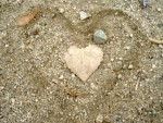 Heart Leaf