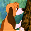 copper sniffin