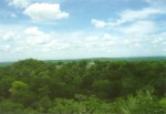 overlooking tikal