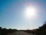 the bright sun