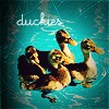Duckies!