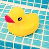 Rubber Ducky