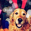 Rawr
