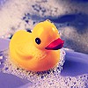 Rubber Ducky