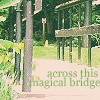 Across this Magical Bridge