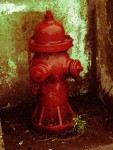fire hydrant