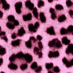 Color Cheetah Print