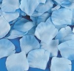 blue rose petals