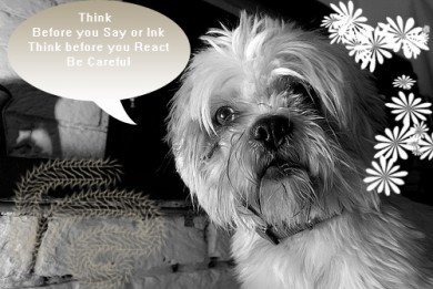 Click to view original image