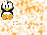 I Luv Penguins