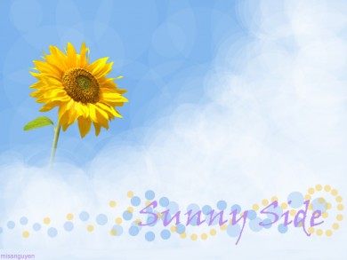 Click to view original image