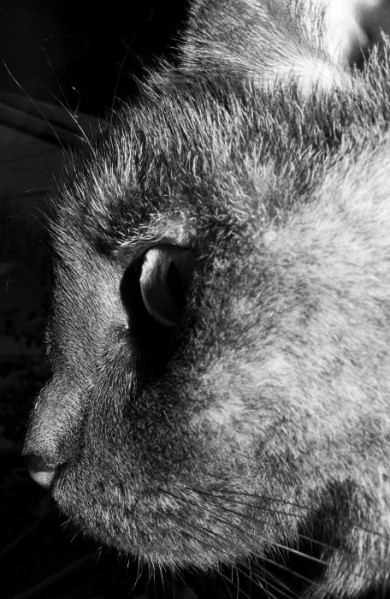 Click to view original image