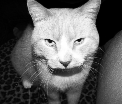 Click to view original image
