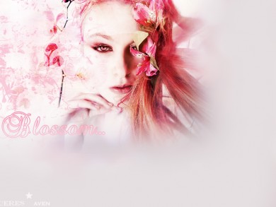 Click to view original image