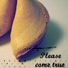 Fortune cookie, "Please Come True"