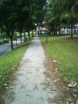 walk this path with me