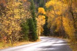 Fall.