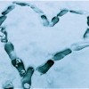 snow love