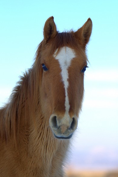 Click to view original image