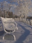 Frozen...