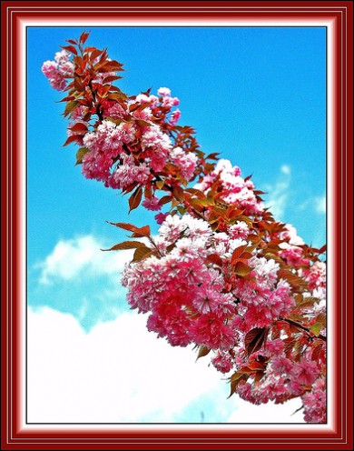 Click to view original image
