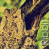 Ribbit. =]
