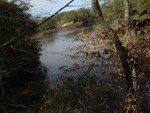 the lake