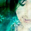 Take In This Flight