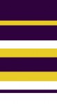 Dark purple and mustard stripes