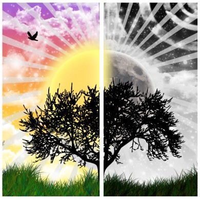 Click to view original image