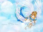 Suspended On Silver Wings