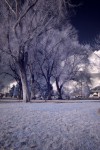 Infrared, 1.