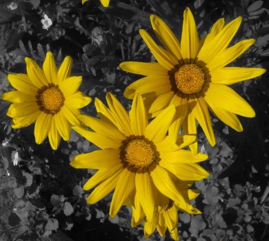 Click to view original image